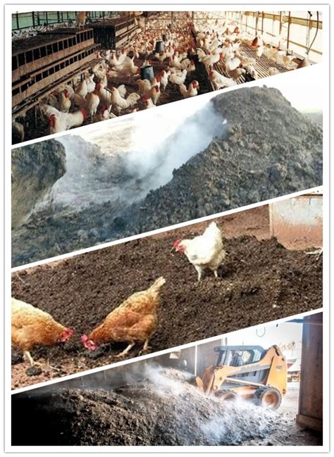 where are they trying to put a chicken manure factory